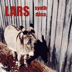 Synhdåsa