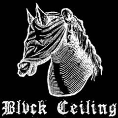 Blvck Ceiling Stand Alone