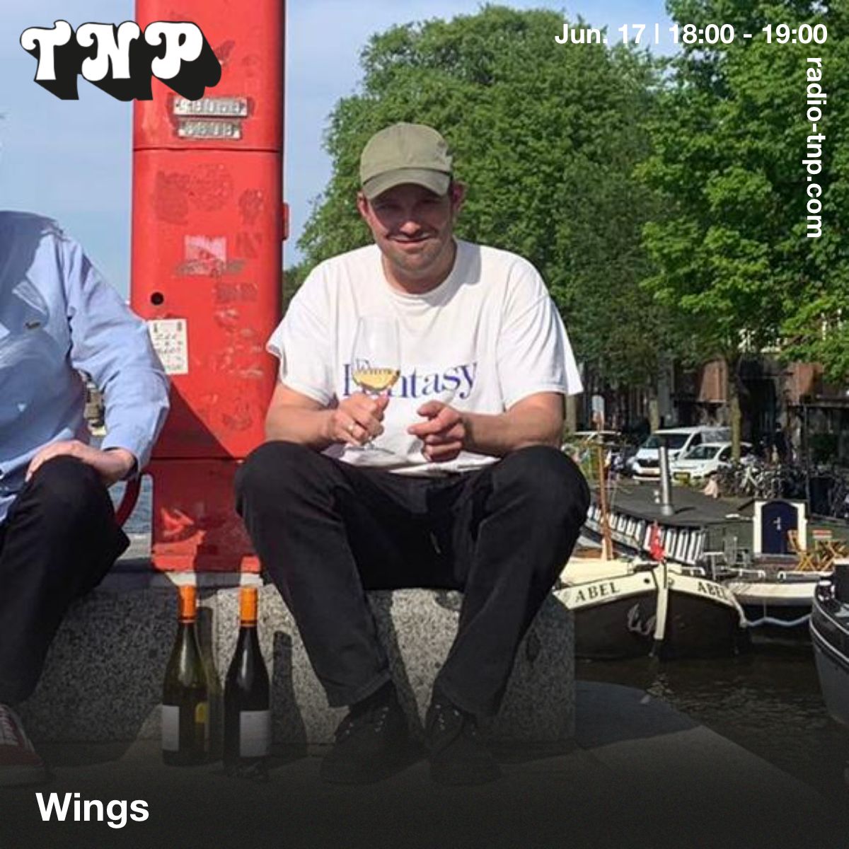 Wings