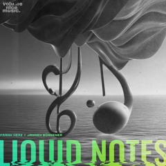Jannek Büngener & Frank Herz - Liquid Notes