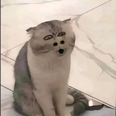 EM CÓ YÊU ANH KHÔNG x CÓ ANH Ở ĐÂY RỒI  ANH QUÂN IDOL  VIETZ REMIX