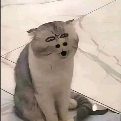 EM CÓ YÊU ANH KHÔNG x CÓ ANH Ở ĐÂY RỒI  ANH QUÂN IDOL  VIETZ REMIX