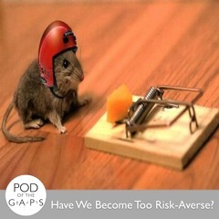 Episode 26 - Have We Become Too Risk-Averse?
