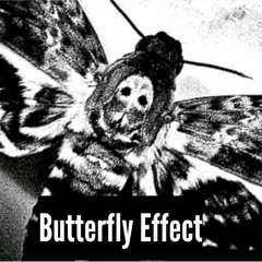 Butterfly Effect