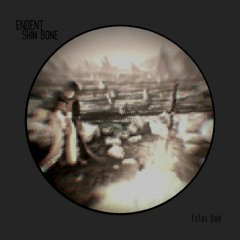 Estus Dub (Shin Bone + ENOENT)