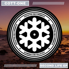 Frosted172 : Cott-One - Go (Original Mix)