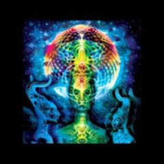 Symønne @ ACID TOTEM New Moon Rising 2016