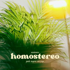 semimora - homostereo (punk improv tape)