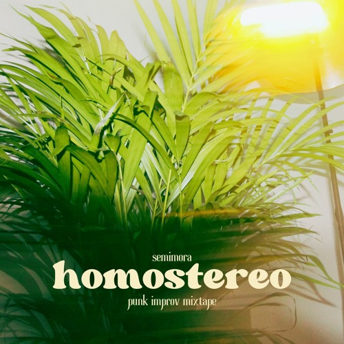 semimora - homostereo (punk improv tape)
