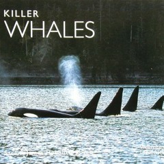 DOWNLOAD EBOOK 💑 Killer Whales by  James R.; Heimlich-Boran Heimlich-Boran [EPUB KIN