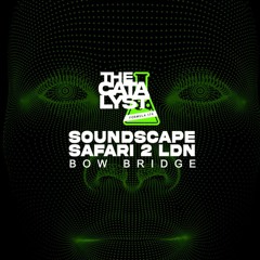 Soundscape Safari 2 LDN | DnB Set