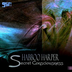 Shabboo Harper - Secret Consciousness (Original Mix) | SNIPPET