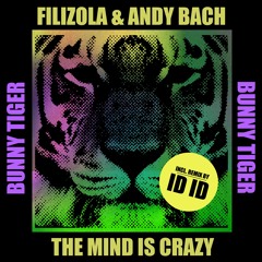 Filizola, Andy Bach - The Mind Is Crazy (ID ID REMIX) [OUT NOW]