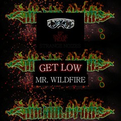 Mr. WildFire - Get Low