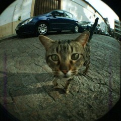 Spike "Cielo"