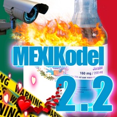MÉXIKodel2.2 ft LEELA