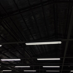 Strange - Celeste (Acoustic Cover)