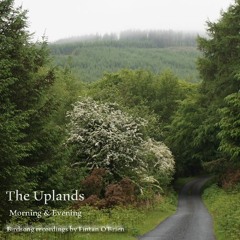 The Uplands - Morning (1).