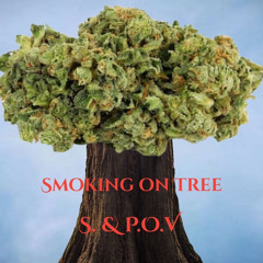 Smoking on Trees- S.abriLo Ft. P.O.V ( Prod. P.O.V)