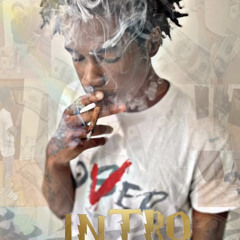 SG Flow