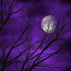 Seven Corleon - CHOPPA TOWN