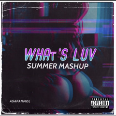 WHAT'S LUV SUMMER MASHUP