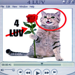 4 LUV w/Bligga x Skunx [prod.riveo]