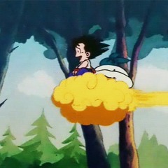 Flying Through The Trees (2020 Remaster)