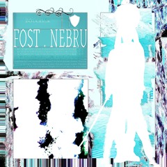 Fost & Nebru - BOUCLIER