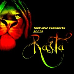 I Like To Move It Raga- Hip Hop Mixtape 2023 TGSK (1)