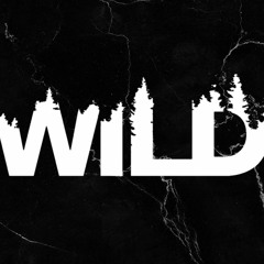 WILD - Justin Baum