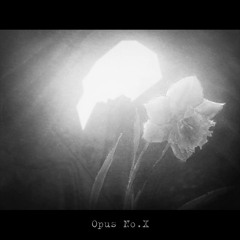 op.X L'écho de l'amour