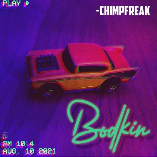 Bodkin