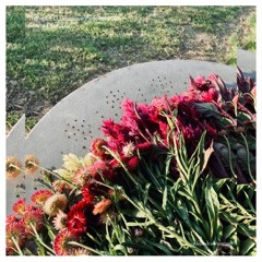 Evolove Festival 2025 ¶ Scene Evolution | Tremplin DJ 2025 | Dj Set