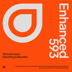 Tritonal & Kwesi - Everything Is Beautiful