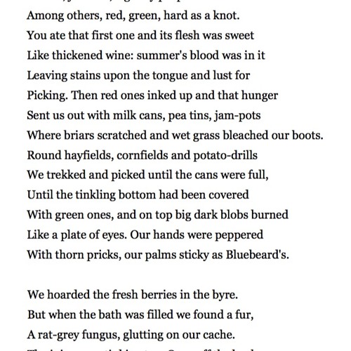 Stream 506 Blackberry-Picking by Seamus Heaney, read by Jonjo O'Neill ...