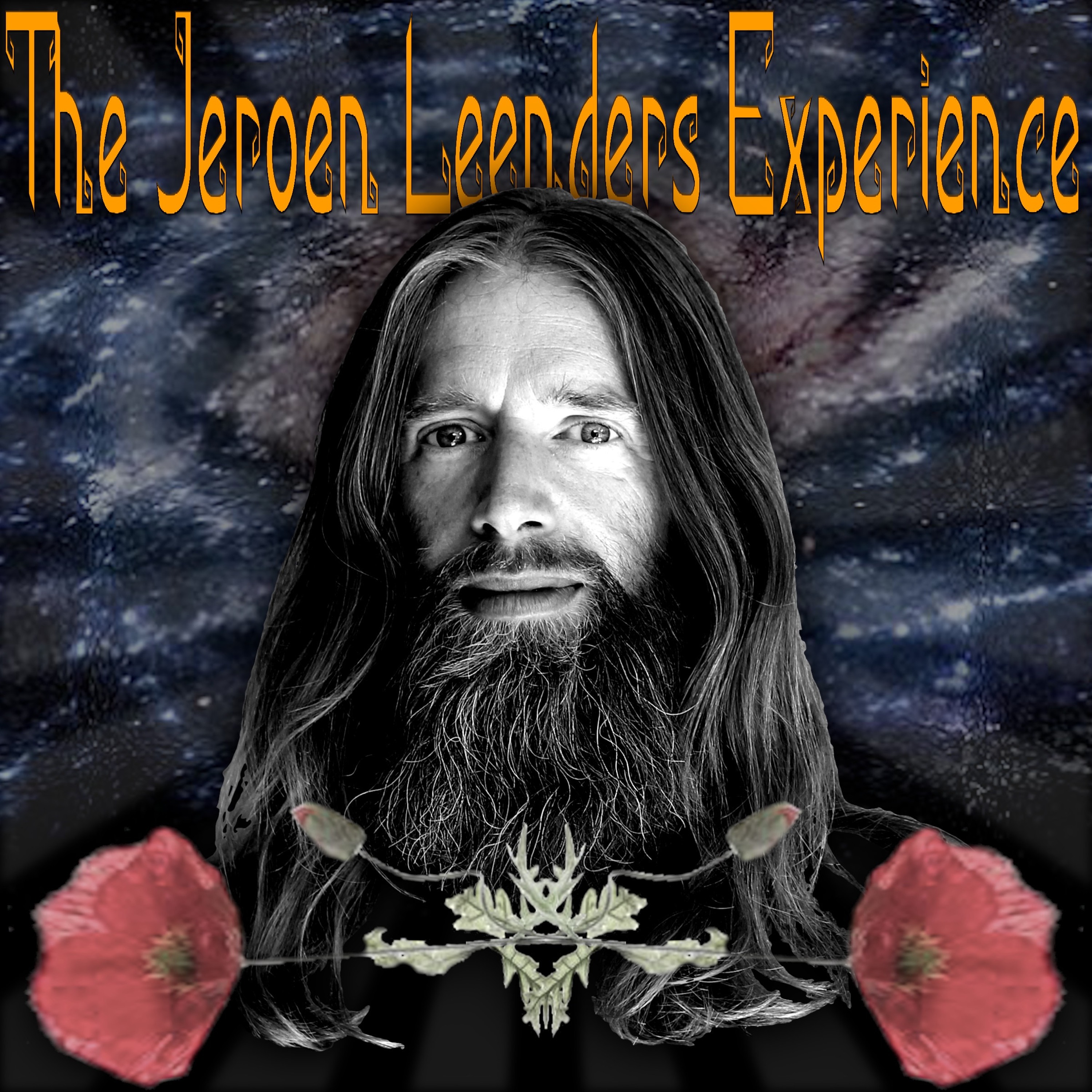 Jeroen Leenders Experience