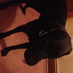 Battlethemeidea1 Gameexperience