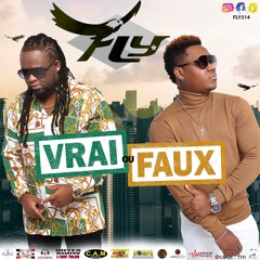 FLY - Vrai Ou Faux!