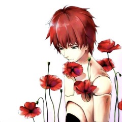 Car seat prod. typhelicia