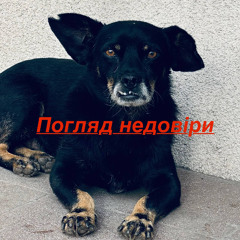 Погляд недовіри ( A look of distrust ) [SET 9] [WLADISLOVE]