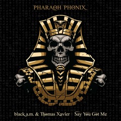 black a.m. & Thomas Xavier - Say You Got Me (Original Mix)