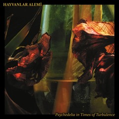 Hayvanlar Alemi - News of the World (Psychedelia In Times Of Turbulence, Subsound Records 2020)
