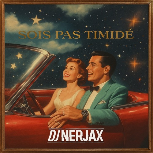 Turn On The Lights X Sois Pas Timide ( Nerjax Mashup )