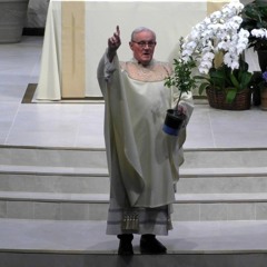 Fr. Walsh: Fifth Sunday of Easter