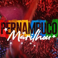 Pernambuco Marilhou