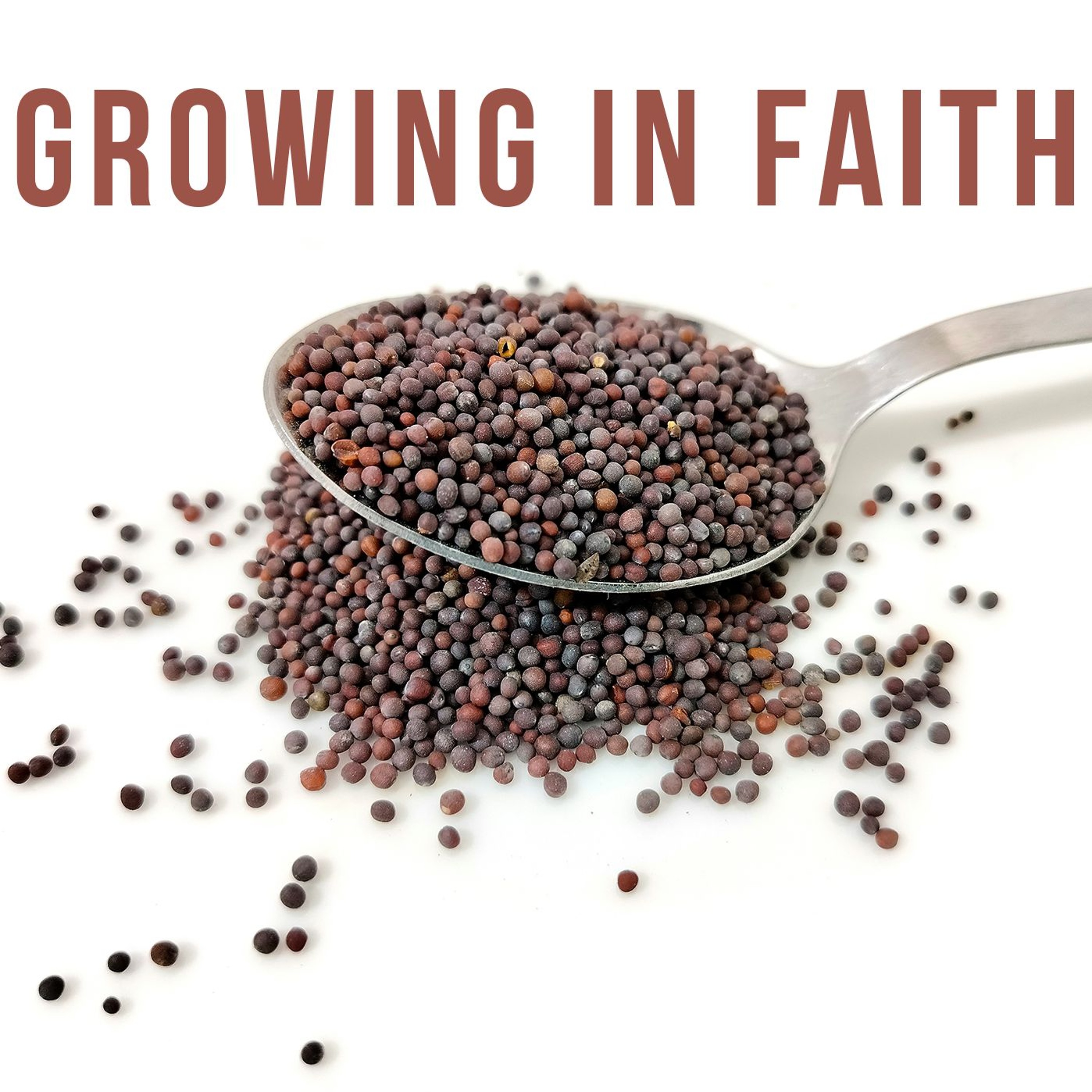 Growing in Faith episode artwork