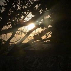 Lashuv El Hamakor - לשוב אל המקור