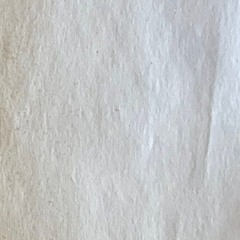 ansho -suspicious_on_purpose [Saveani FM Exclusive]