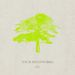 your Mind works - 055: Progressive House